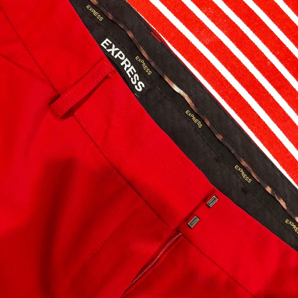 Express Dress Pants